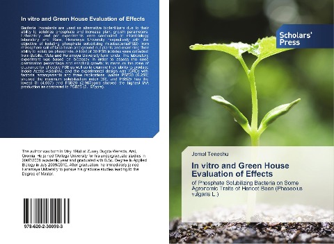 In vitro and Green House Evaluation of Effects: of Phosphate Solubilizing Bacteria on Some Agronomic Traits of Haricot Bean (Phaseolus vulgaris L.)