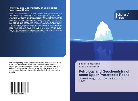Petrology and Geochemistry of some Upper Proterozoic Rocks: of Homrit Waggat area, Central Eastern Desert, Egypt