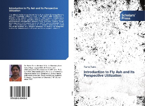 Introduction to Fly Ash and Its Perspective Utilization