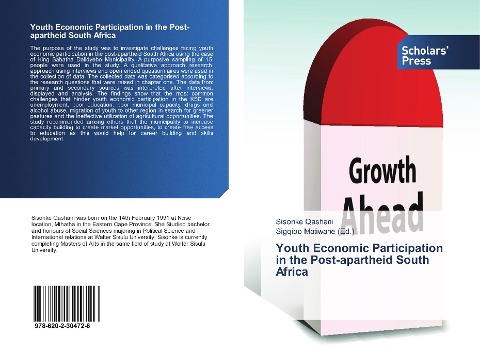 Youth Economic Participation in the Post-apartheid South Africa