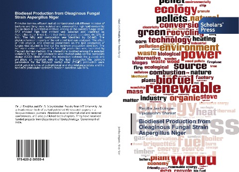 Biodiesel Production from Oleaginous Fungal Strain Aspergillus Niger