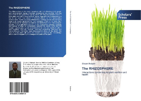 The RHIZOSPHERE: Interactions concerning to plant nutrition and health