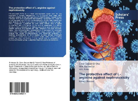 The protective effect of L-arginine against nephrotoxicity: kidney disease