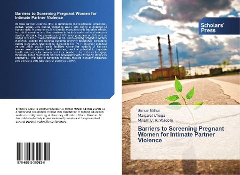 Barriers to Screening Pregnant Women for Intimate Partner Violence