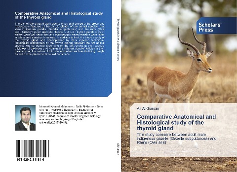 Comparative Anatomical and Histological study of the thyroid gland: This study compare between adult male indigenous gazelle (Gazella subgutturosa) and Rams (Ovis aris)