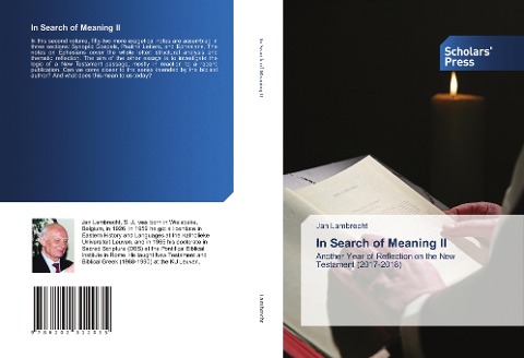In Search of Meaning II: Another Year of Reflection on the New Testament (2017-2018)