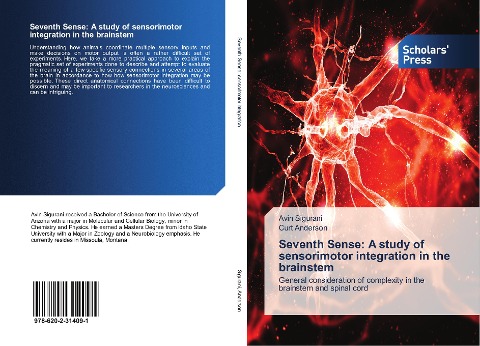 Seventh Sense: A study of sensorimotor integration in the brainstem: General consideration of complexity in the brainstem and spinal cord