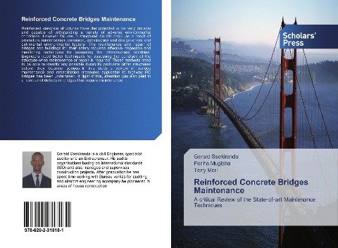 Reinforced Concrete Bridges Maintenance: A critical Review of the State-of-art Maintenance Techniques