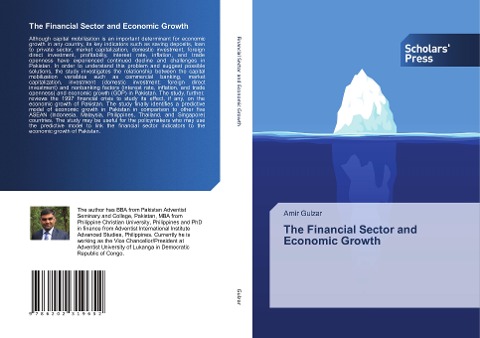 The Financial Sector and Economic Growth