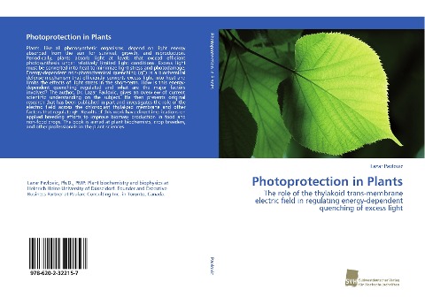 Photoprotection in Plants: The role of the thylakoid trans-membrane electric field in regulating energy-dependent quenching of excess light