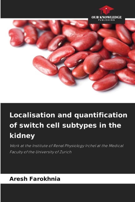Localisation and quantification of switch cell subtypes in the kidney: Work at the Institute of Renal Physiology Irchel at the Medical Faculty of the University of Zurich