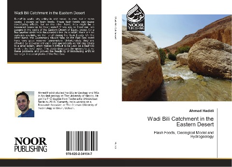 Wadi Bili Catchment in the Eastern Desert: Flash Foods, Geological Model and Hydrogeology
