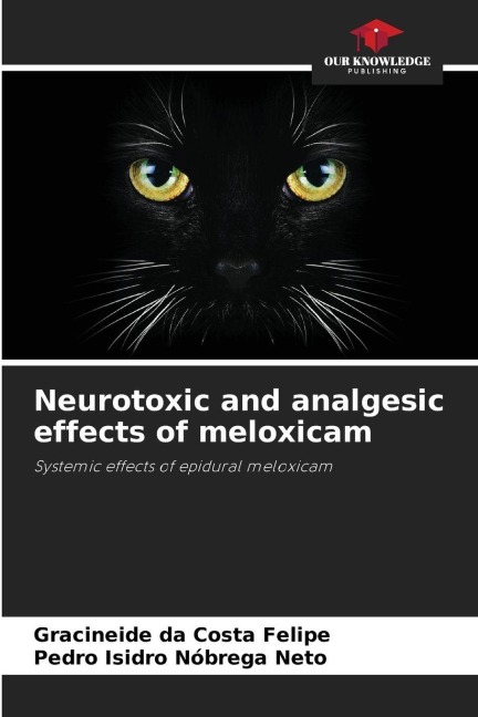Neurotoxic and analgesic effects of meloxicam: Systemic effects of epidural meloxicam
