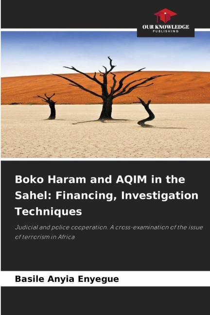 Boko Haram and AQIM in the Sahel: Financing, Investigation Techniques: Judicial and police cooperation. A cross-examination of the issue of terrorism in Africa
