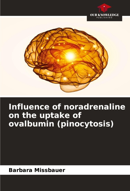 Influence of noradrenaline on the uptake of ovalbumin (pinocytosis)