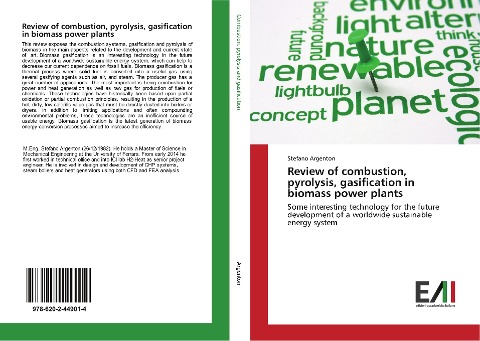 Review of combustion, pyrolysis, gasification in biomass power plants: Some interesting technology for the future development of a worldwide sustainable energy system