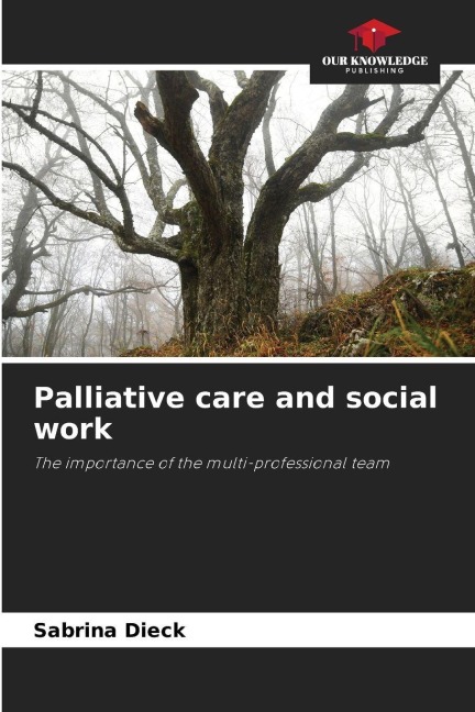 Palliative care and social work: The importance of the multi-professional team