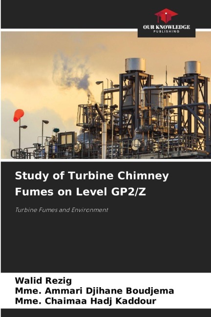Study of Turbine Chimney Fumes on Level GP2/Z: Turbine Fumes and Environment