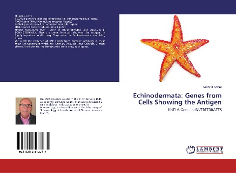 Echinodermata: Genes from Cells Showing the Antigen: HNF1A Gene in INVERTEBRATES