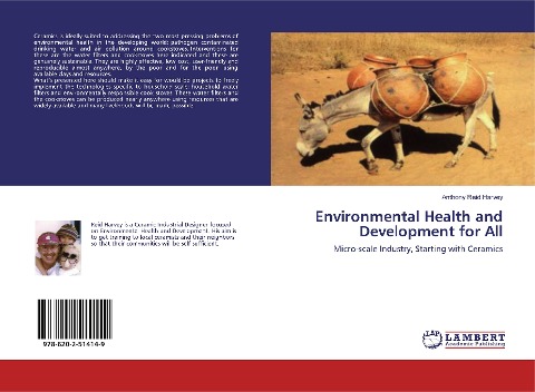 Environmental Health and Development for All: Micro-scale Industry, Starting with Ceramics
