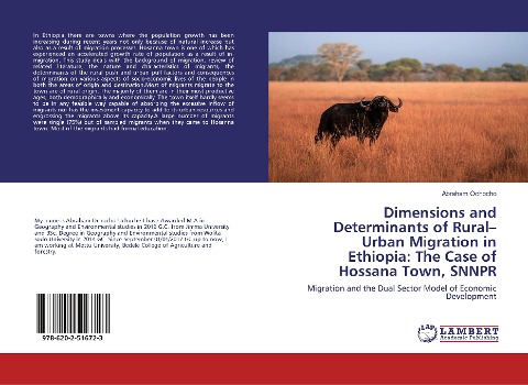 Dimensions and Determinants of Rural-Urban Migration in Ethiopia: The Case of Hossana Town, SNNPR: Migration and the Dual Sector Model of Economic Development