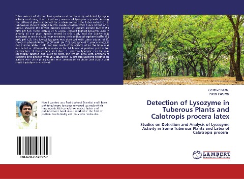 Detection of Lysozyme in Tuberous Plants and Calotropis procera latex: Studies on Detection and Analysis of Lysozyme Activity in Some Tuberous Plants and Latex of Calotropis procera