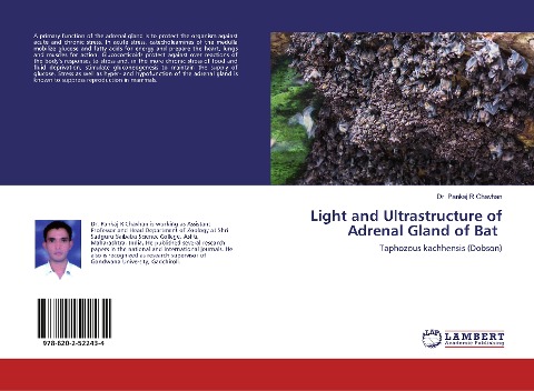 Light and Ultrastructure of Adrenal Gland of Bat: Taphozous kachhensis (Dobson)