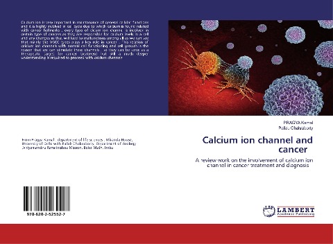 Calcium ion channel and cancer: A review work on the involvement of calcium ion channel in cancer treatment and diagnosis
