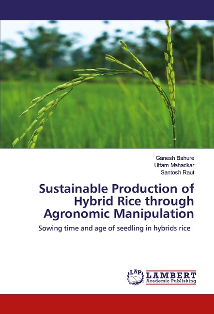 Sustainable Production of Hybrid Rice through Agronomic Manipulation: Sowing time and age of seedling in hybrids rice