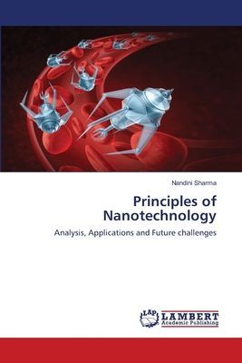 Principles of Nanotechnology: Analysis, Applications and Future challenges