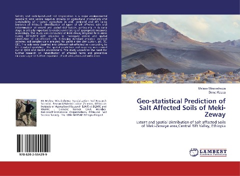 Geo-statistical Prediction of Salt Affected Soils of Meki-Zeway: Extent and Spatial Distribution of Salt affected Soils of Meki-Zewaye area,Central Rift Valley, Ethiopia