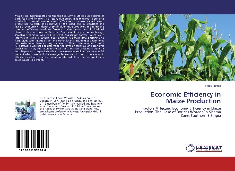 Economic Efficiency in Maize Production: Factors Affecting Economic Efficiency in Maize Production: The Case of Boricha Woreda in Sidama Zone, Southern Ethiopia