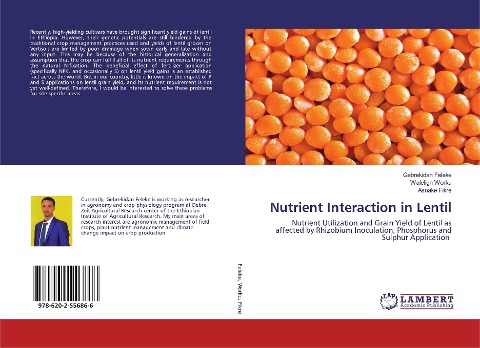 Nutrient Interaction in Lentil: Nutrient Utilization and Grain Yield of Lentil as affected by Rhizobium Inoculation, Phosphorus and Sulphur Application