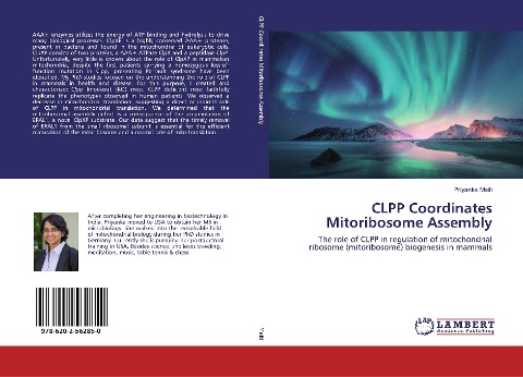 CLPP Coordinates Mitoribosome Assembly: The role of CLPP in regulation of mitochondrial ribosome (mitoribosome) biogenesis in mammals