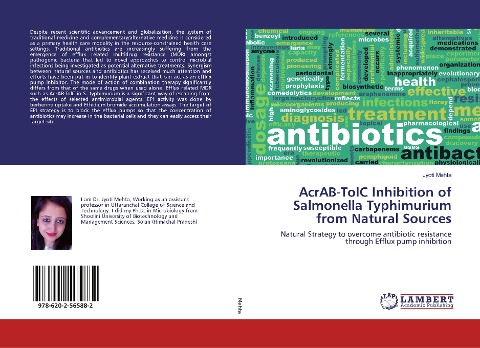 AcrAB-TolC Inhibition of Salmonella Typhimurium from Natural Sources: Natural Strategy to overcome antibiotic resistance through Efflux pump inhibition