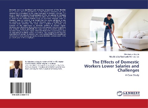 The Effects of Domestic Workers Lower Salaries and Challenges: A Case Study