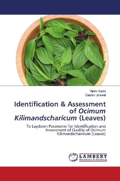 Identification & Assessment of Ocimum Kilimandscharicum (Leaves): To Laydown Parameter for Identification and Assessment of Quality of Ocimum Kilimandscharicum (Leaves)