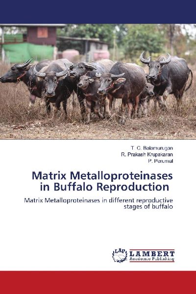 Matrix Metalloproteinases in Buffalo Reproduction: Matrix Metalloproteinases in different reproductive stages of buffalo