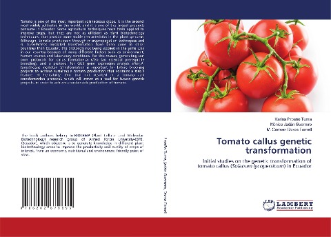 Tomato callus genetic transformation: Initial studies on the genetic transformation of tomato callus (Solanum lycopersicum) in Ecuador