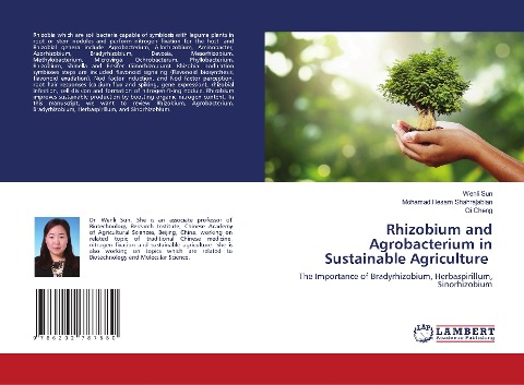 Rhizobium and Agrobacterium in Sustainable Agriculture: The Importance of Bradyrhizobium, Herbaspirillum, Sinorhizobium