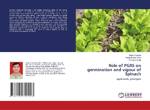 Role of PGRS on germination and vigour of Spinach: aged seeds, genotypes