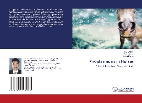 Piroplasmosis in Horses: Epidemiological and Diagnostic study
