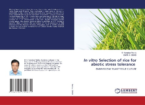 In vitro Selection of rice for abiotic stress tolerance: EMBRYOGENIC PLANT TISSUE CULTURE