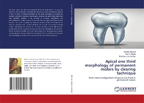 Apical one third morphology of permanent molars by clearing technique: Root canal configuration of apical one third in permanent molars