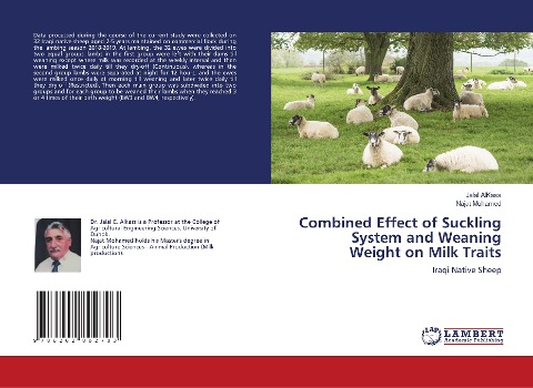 Combined Effect of Suckling System and Weaning Weight on Milk Traits: Iraqi Native Sheep