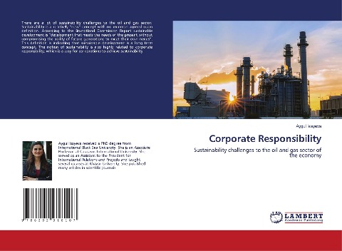 Corporate Responsibility: Sustainability challenges to the oil and gas sector of the economy