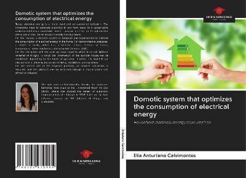 Domotic system that optimizes the consumption of electrical energy: Household electrical energy consumption