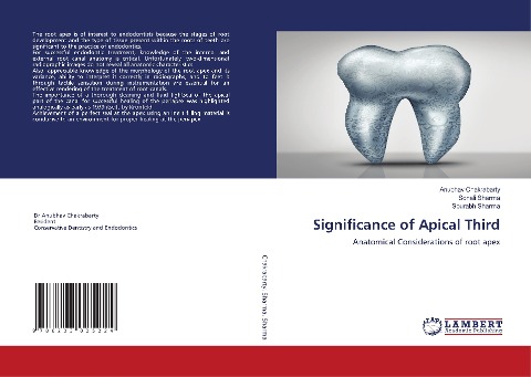Significance of Apical Third: Anatomical Considerations of root apex