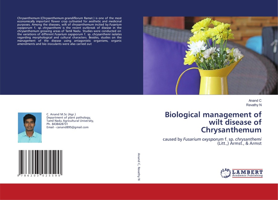 Biological management of wilt disease of Chrysanthemum: caused by Fusarium oxysporum f. sp. chrysanthemi (Litt.,) Armst., & Armst