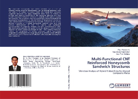 Multi-Functional CNT Reinforced Honeycomb Sandwich Structures: Vibration Analysis of Hybrid Ribbon/Strip Reinforced Composite Plates